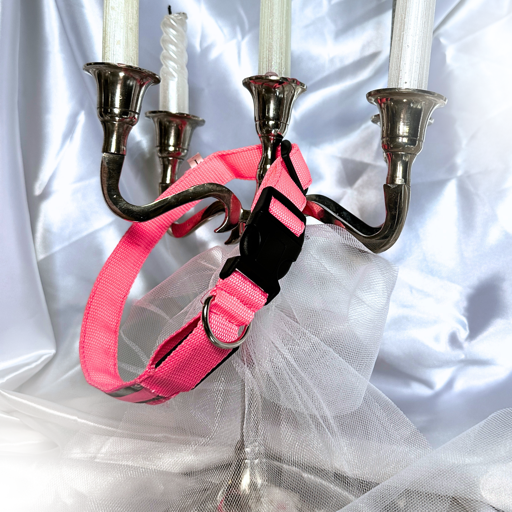 🎅 Duo Rouge : Collier lumineux rose & Bandana Renne de Noël