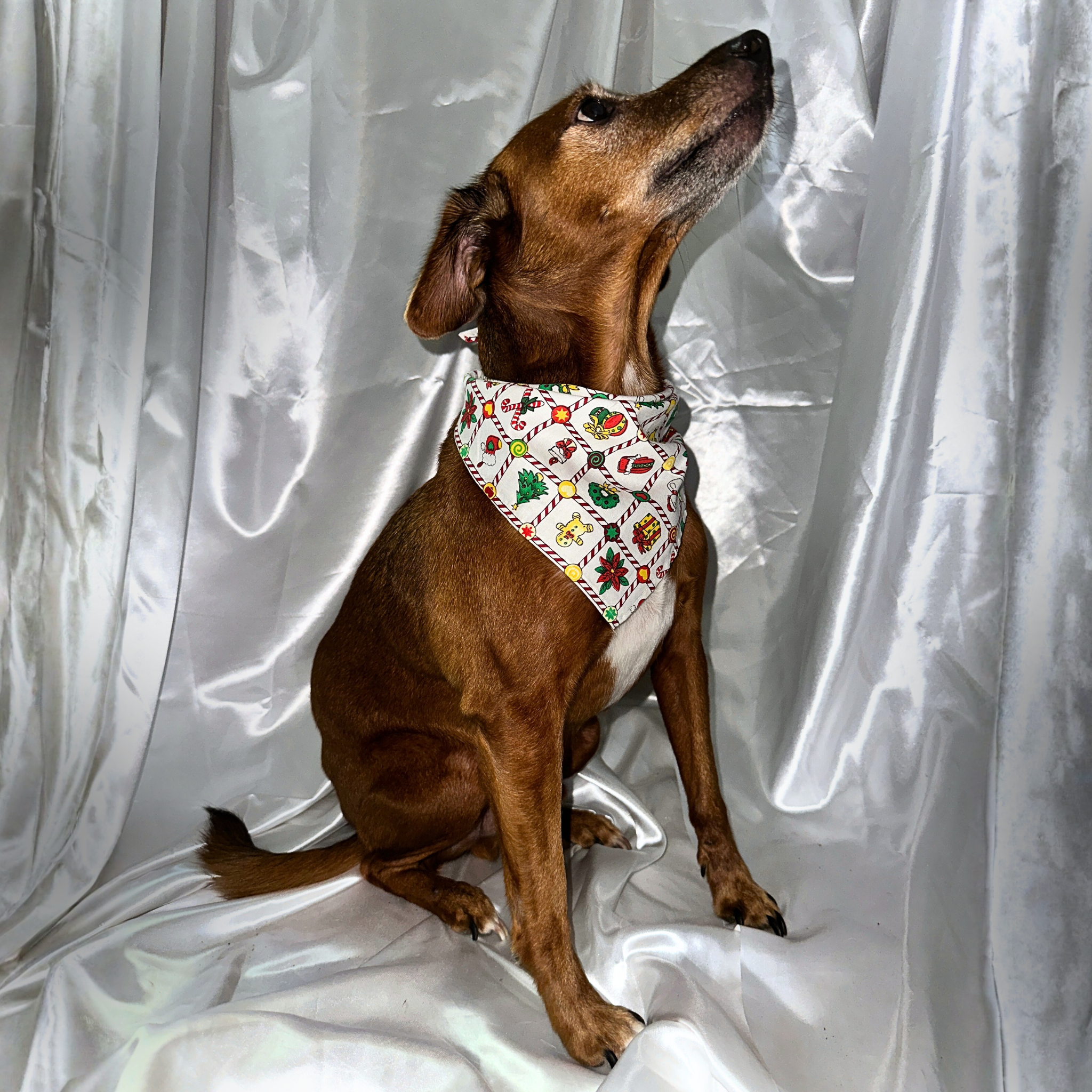 ❄️ Duo Blanc : Collier lumineux blanc & Bandana Cadeaux de Noël