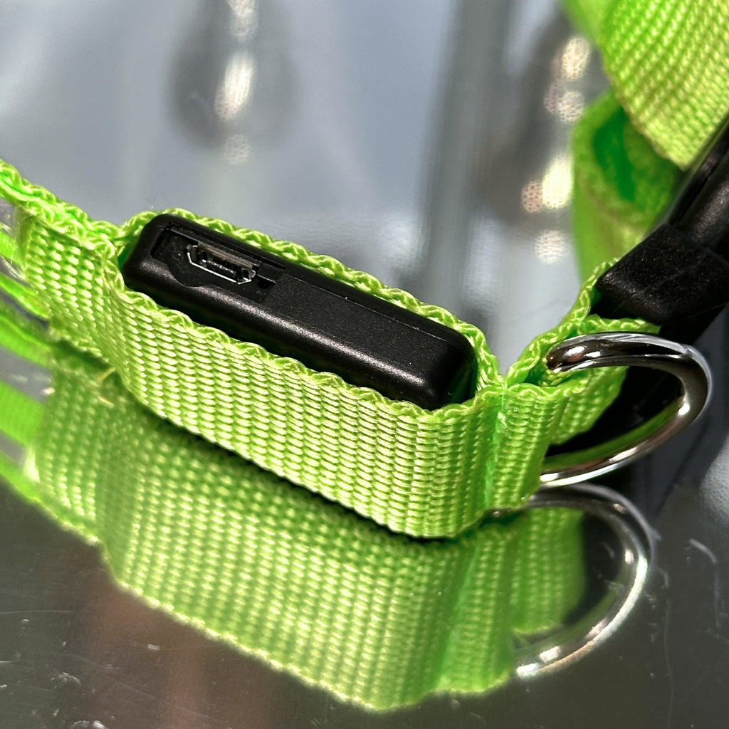 🎄 Collier LED + bandana – Pack complet Vert