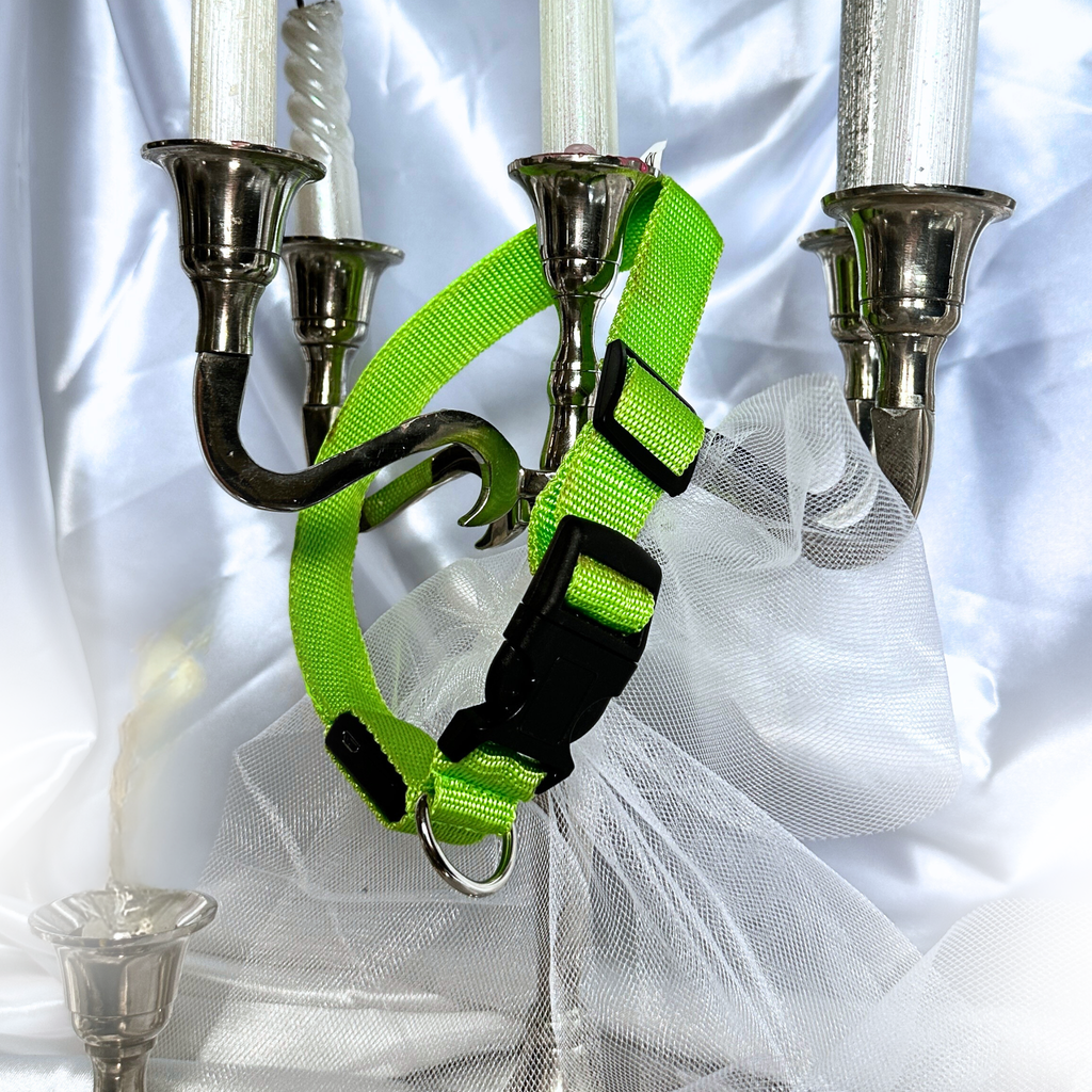 🎄 Collier LED + bandana – Pack complet Vert
