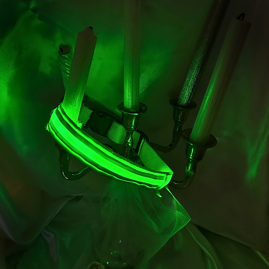 🎄 Collier LED + bandana – Pack complet Vert
