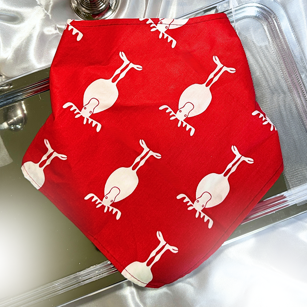 🎅 Collier LED + bandana – Pack complet Rouge