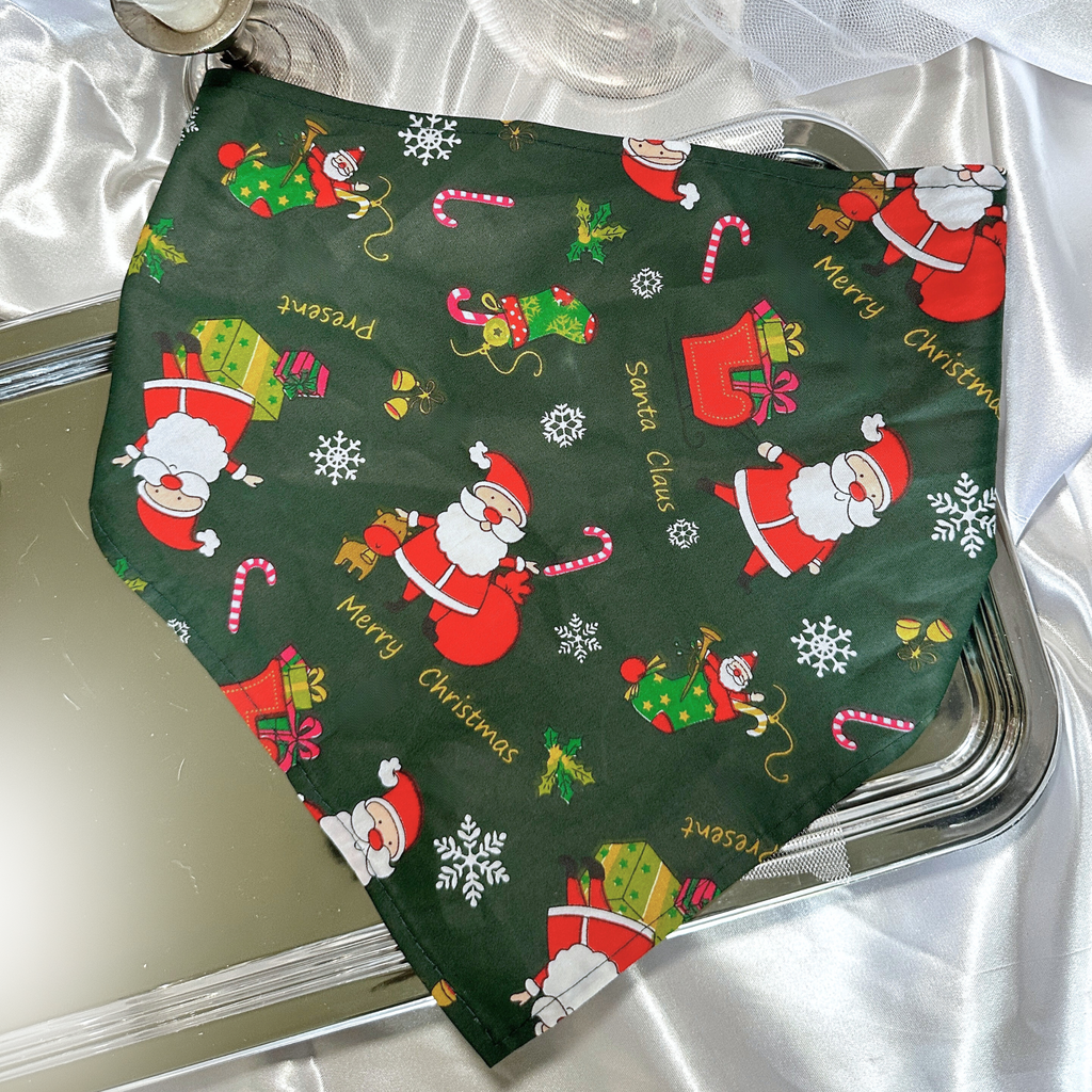 🎄 Collier LED + bandana – Pack complet Vert