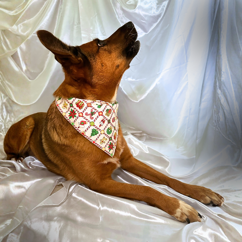 ❄️ Collier LED + bandana – Pack complet Blanc