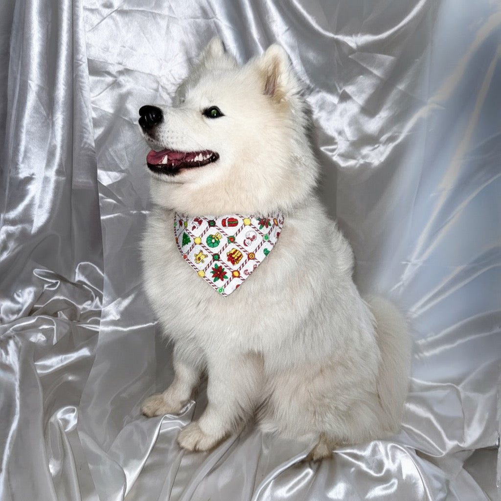 ❄️ Collier LED + bandana – Pack complet Blanc