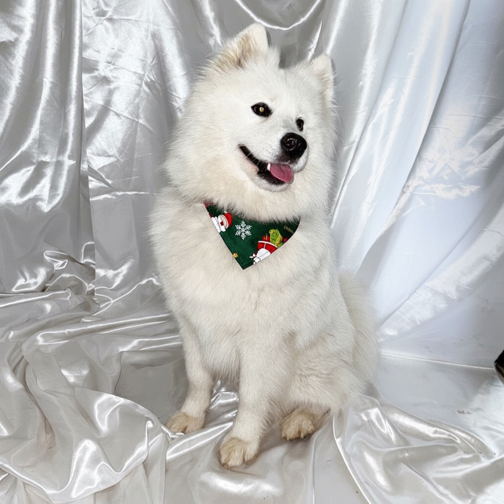 🎄 Duo Vert : Collier lumineux vert & Bandana Père Noël